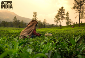 south india trip