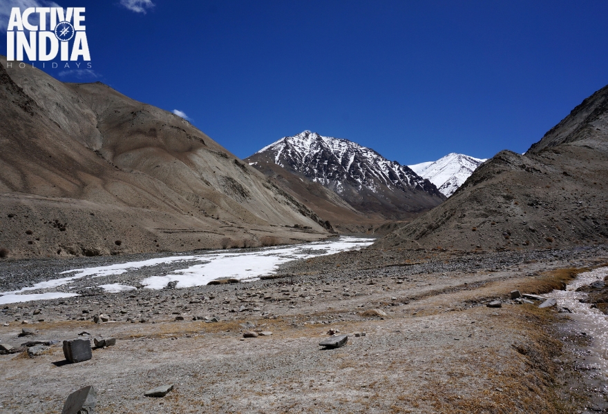  Markha Valley Trek